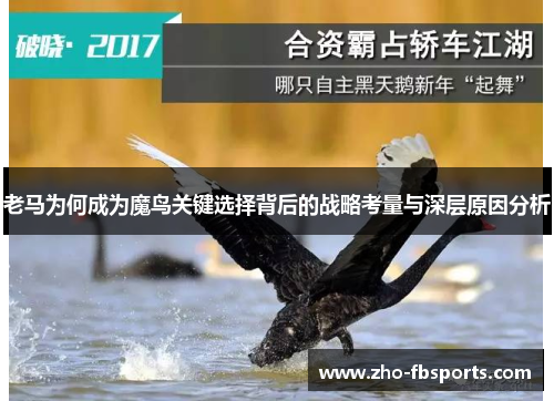 老马为何成为魔鸟关键选择背后的战略考量与深层原因分析 老马为何成为魔鸟关键选择背后的战略考量与深层原因分析