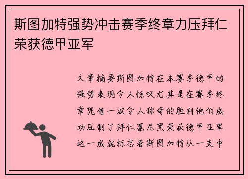 斯图加特强势冲击赛季终章力压拜仁荣获德甲亚军
